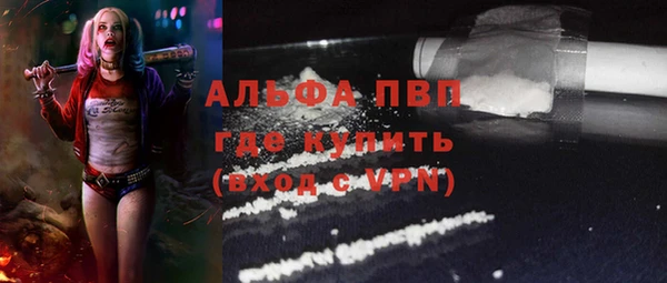 амф Няндома