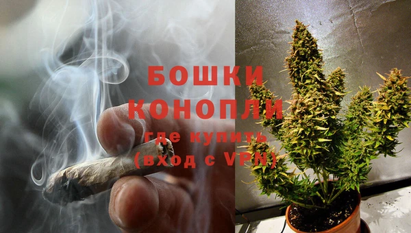 амф Няндома
