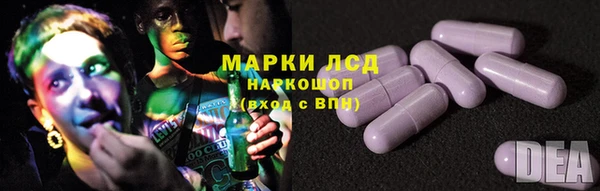 PSILOCYBIN Нязепетровск