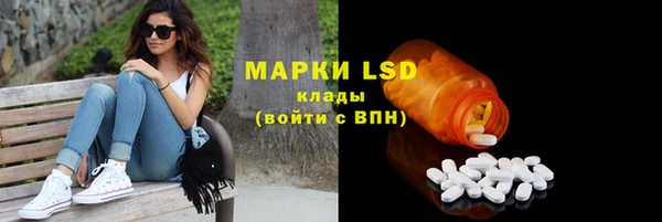 apvp Новозыбков