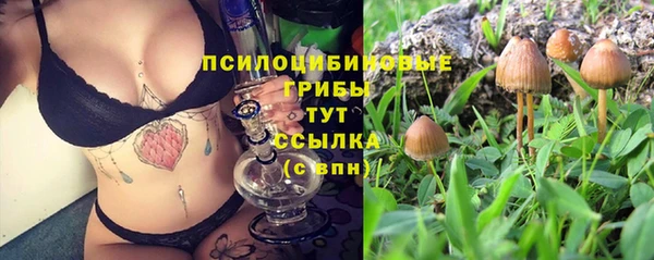 PSILOCYBIN Нязепетровск