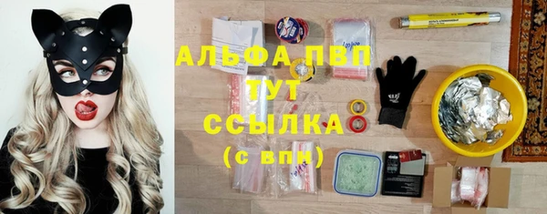 PSILOCYBIN Нязепетровск