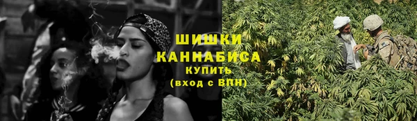 PSILOCYBIN Нязепетровск