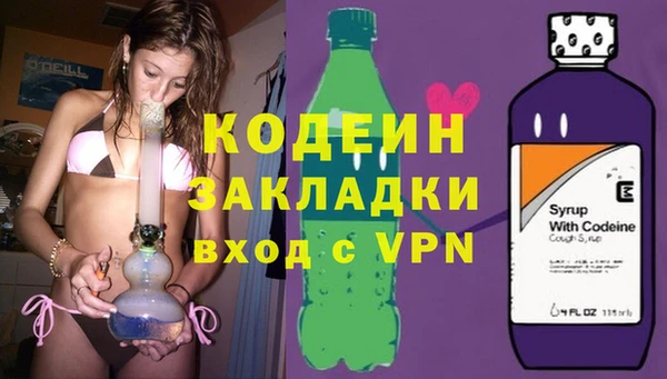 амф Няндома