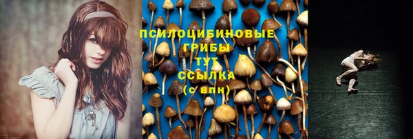 альфа пвп Новокубанск