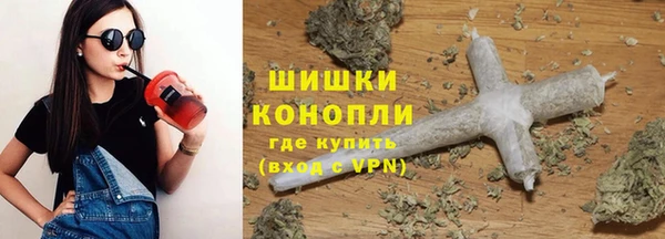 PSILOCYBIN Нязепетровск