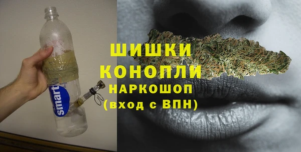 амф Няндома