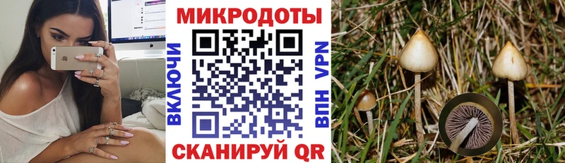 Галлюциногенные грибы GOLDEN TEACHER  omg сайт  мориарти формула  Западная Двина 