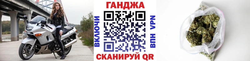 гидра как войти Западная Двина Бошки Шишки тримм